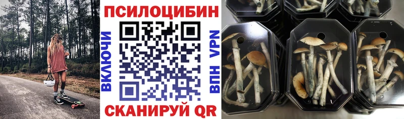 сколько стоит  Серов  Псилоцибиновые грибы прущие грибы 