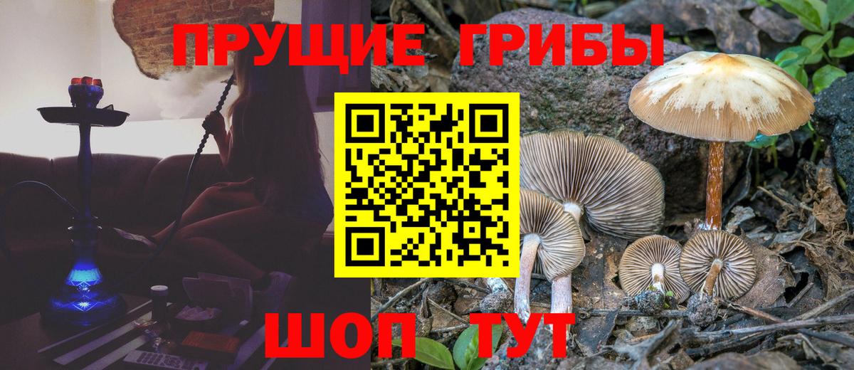 Псилоцибиновые грибы GOLDEN TEACHER Серов